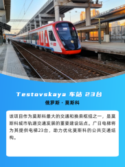 28圈(中国集团)官方网站